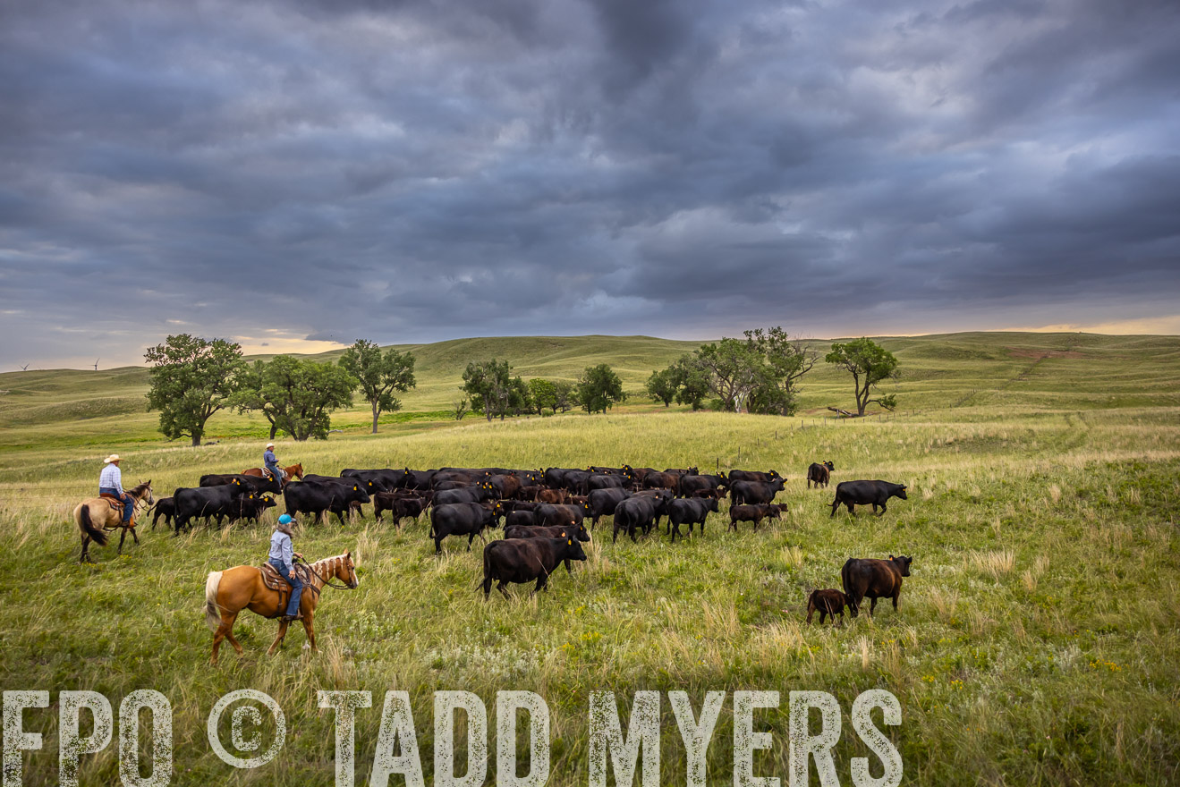 TMyers_PP_FinneyRanch_Nebraska_June2024-519049