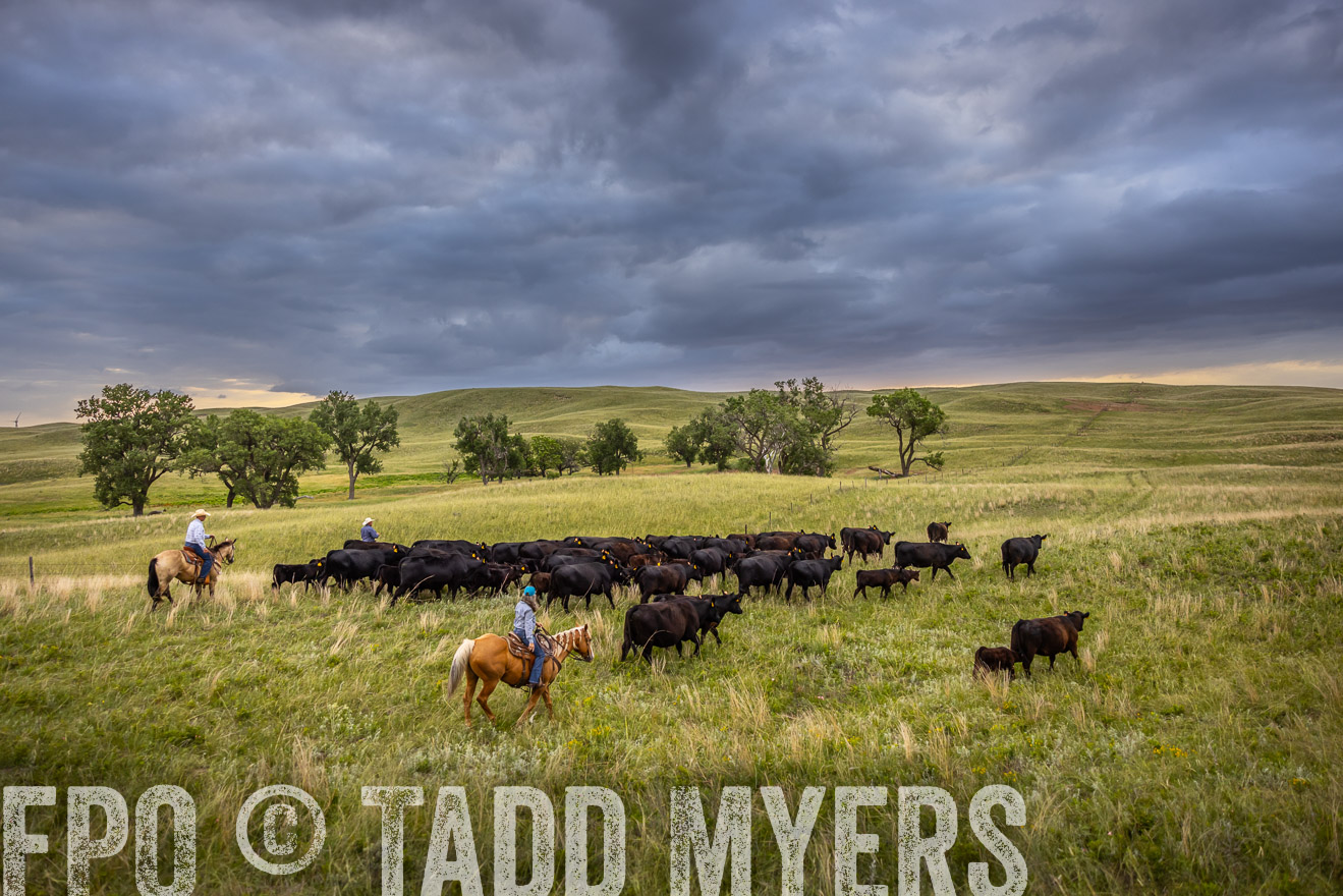 TMyers_PP_FinneyRanch_Nebraska_June2024-519078
