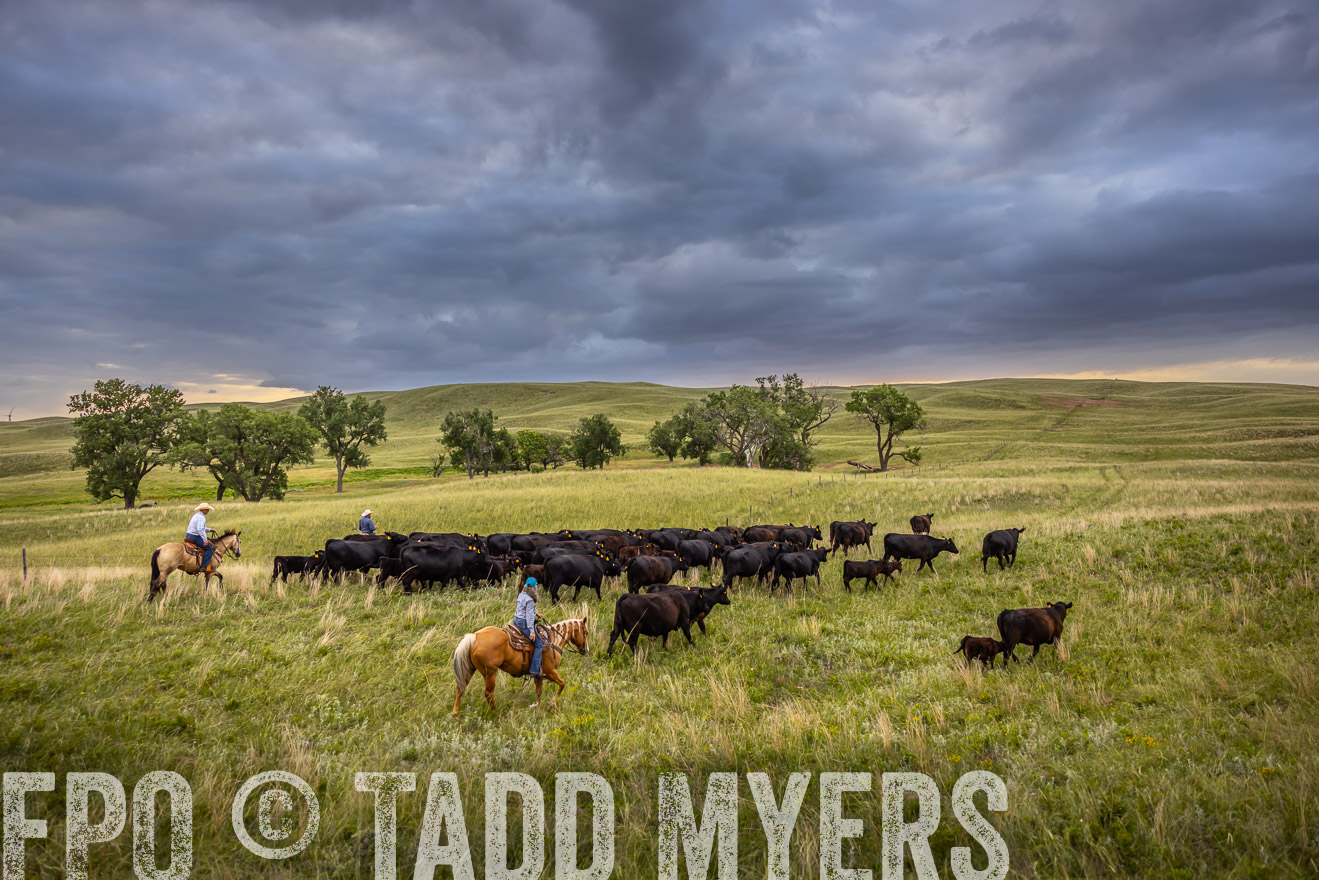 TMyers_PP_FinneyRanch_Nebraska_June2024-519080