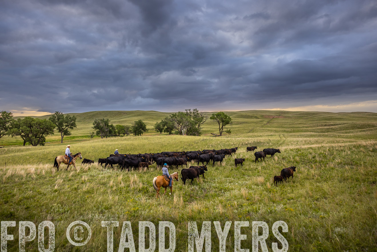 TMyers_PP_FinneyRanch_Nebraska_June2024-519092