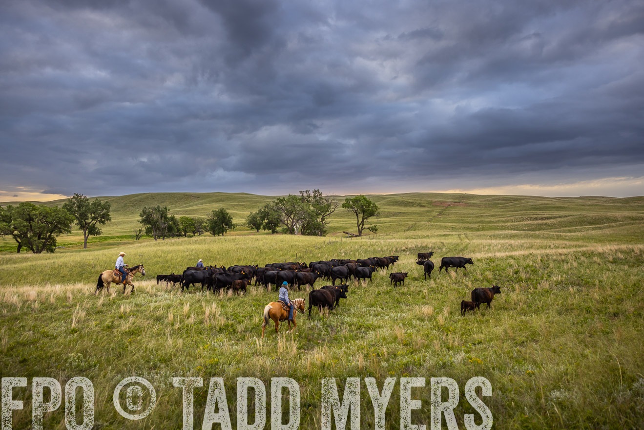 TMyers_PP_FinneyRanch_Nebraska_June2024-519100