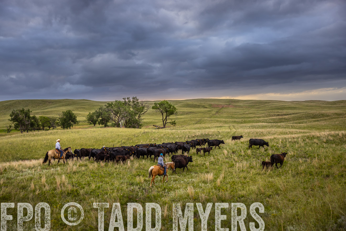 TMyers_PP_FinneyRanch_Nebraska_June2024-519128