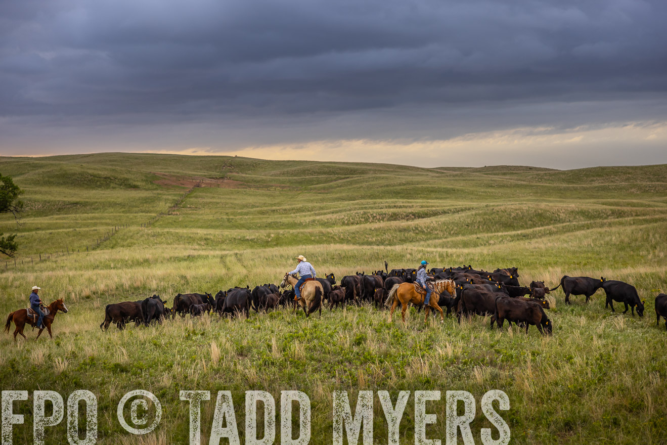 TMyers_PP_FinneyRanch_Nebraska_June2024-519148