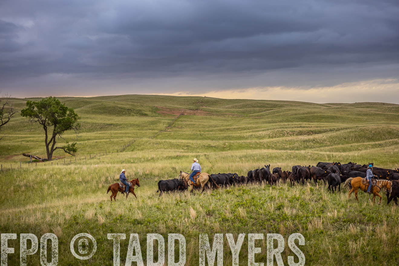 TMyers_PP_FinneyRanch_Nebraska_June2024-519150