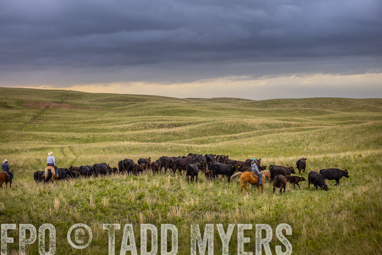 TMyers_PP_FinneyRanch_Nebraska_June2024-519156
