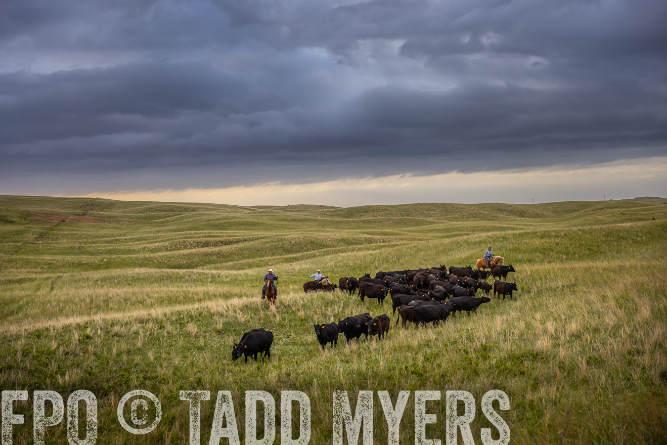 TMyers_PP_FinneyRanch_Nebraska_June2024-519204