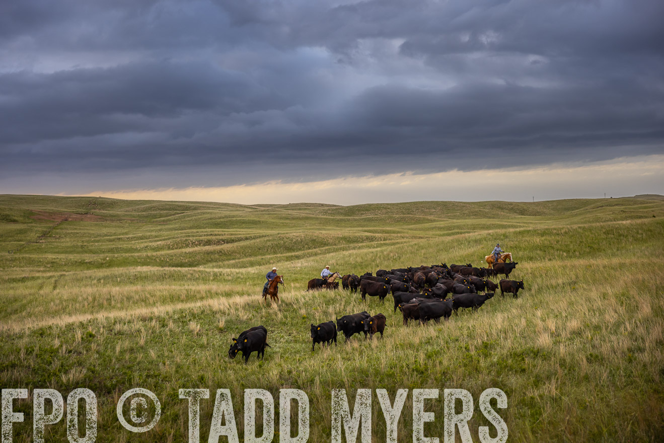 TMyers_PP_FinneyRanch_Nebraska_June2024-519209