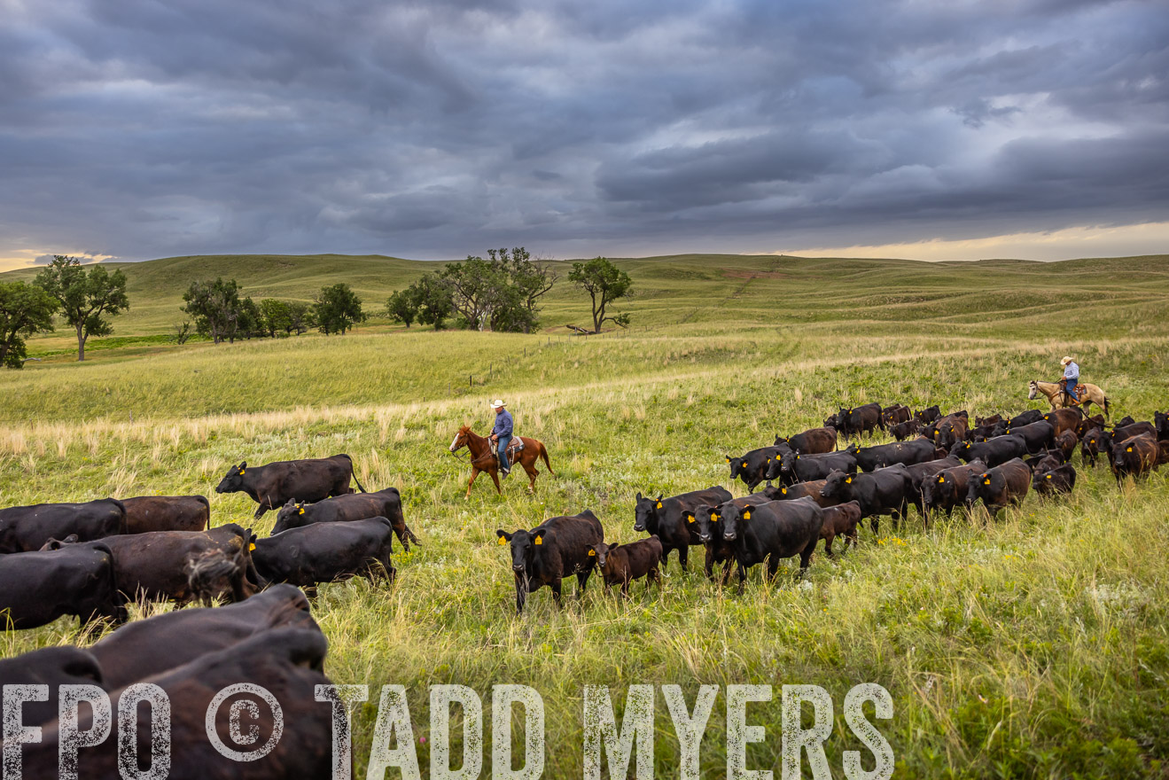 TMyers_PP_FinneyRanch_Nebraska_June2024-519275