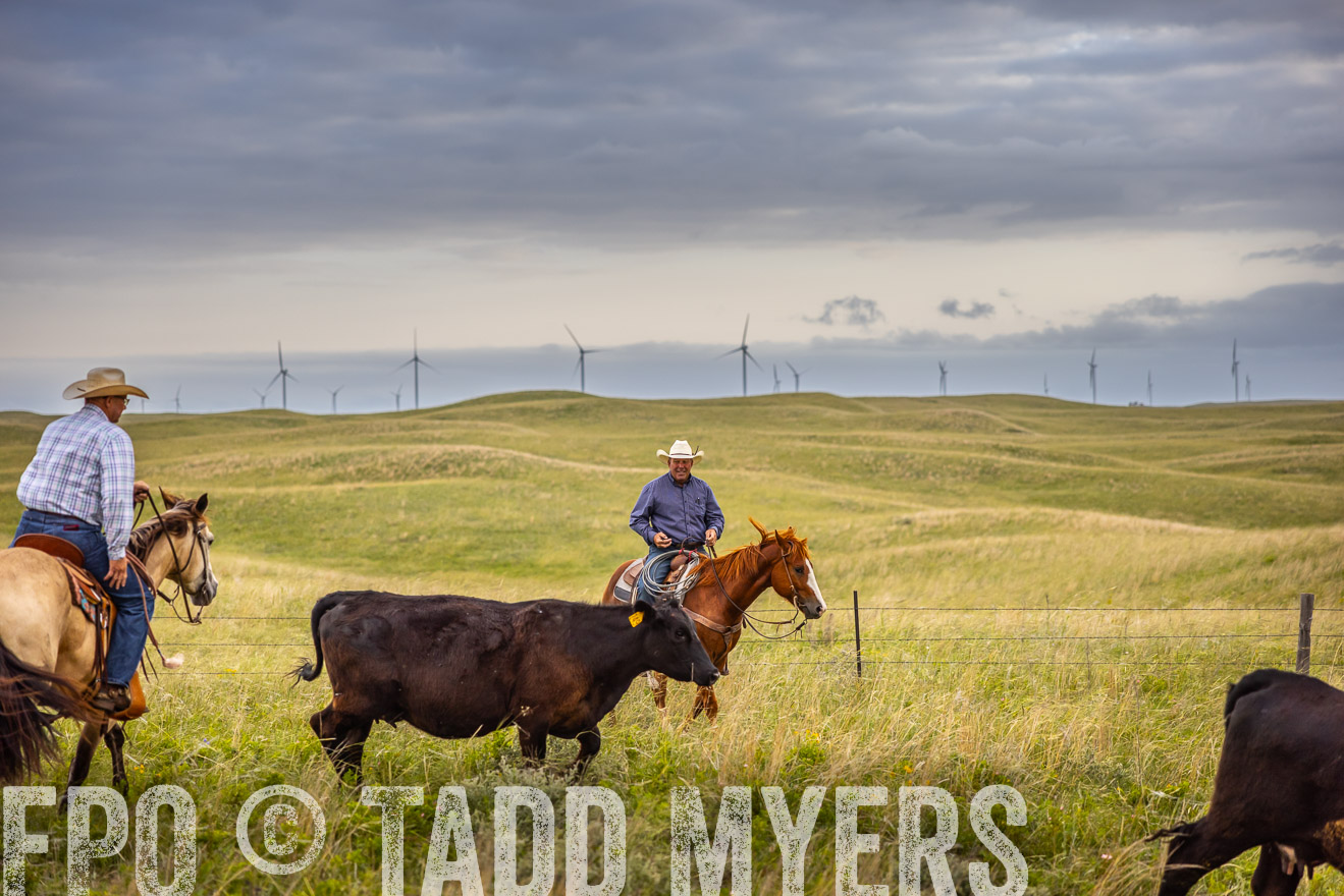 TMyers_PP_FinneyRanch_Nebraska_June2024-519287