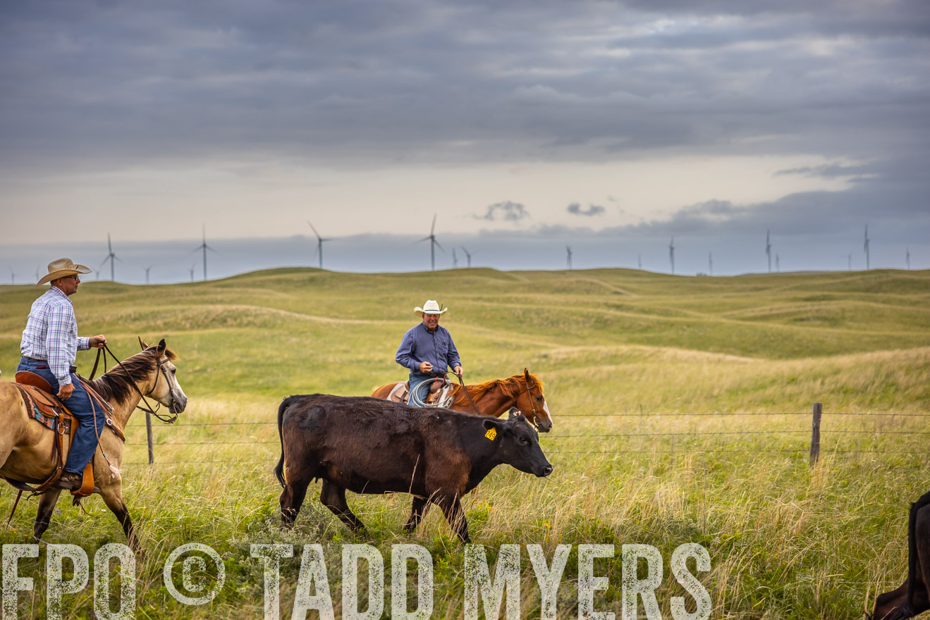 TMyers_PP_FinneyRanch_Nebraska_June2024-519293