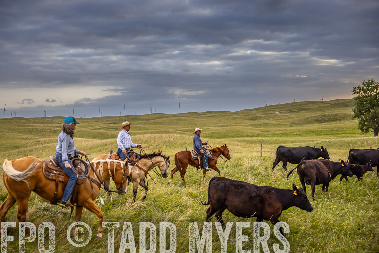 TMyers_PP_FinneyRanch_Nebraska_June2024-519313