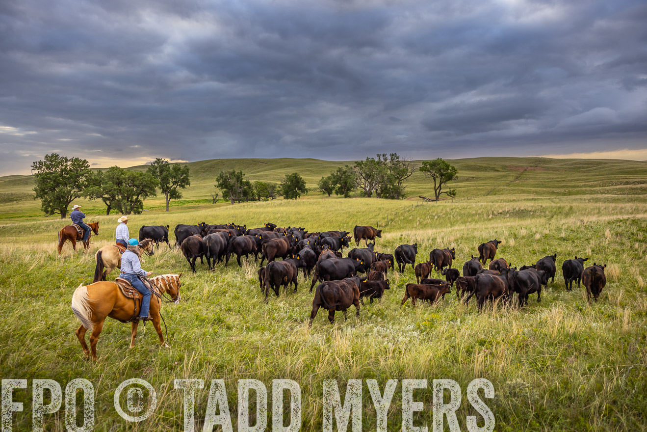 TMyers_PP_FinneyRanch_Nebraska_June2024-519348