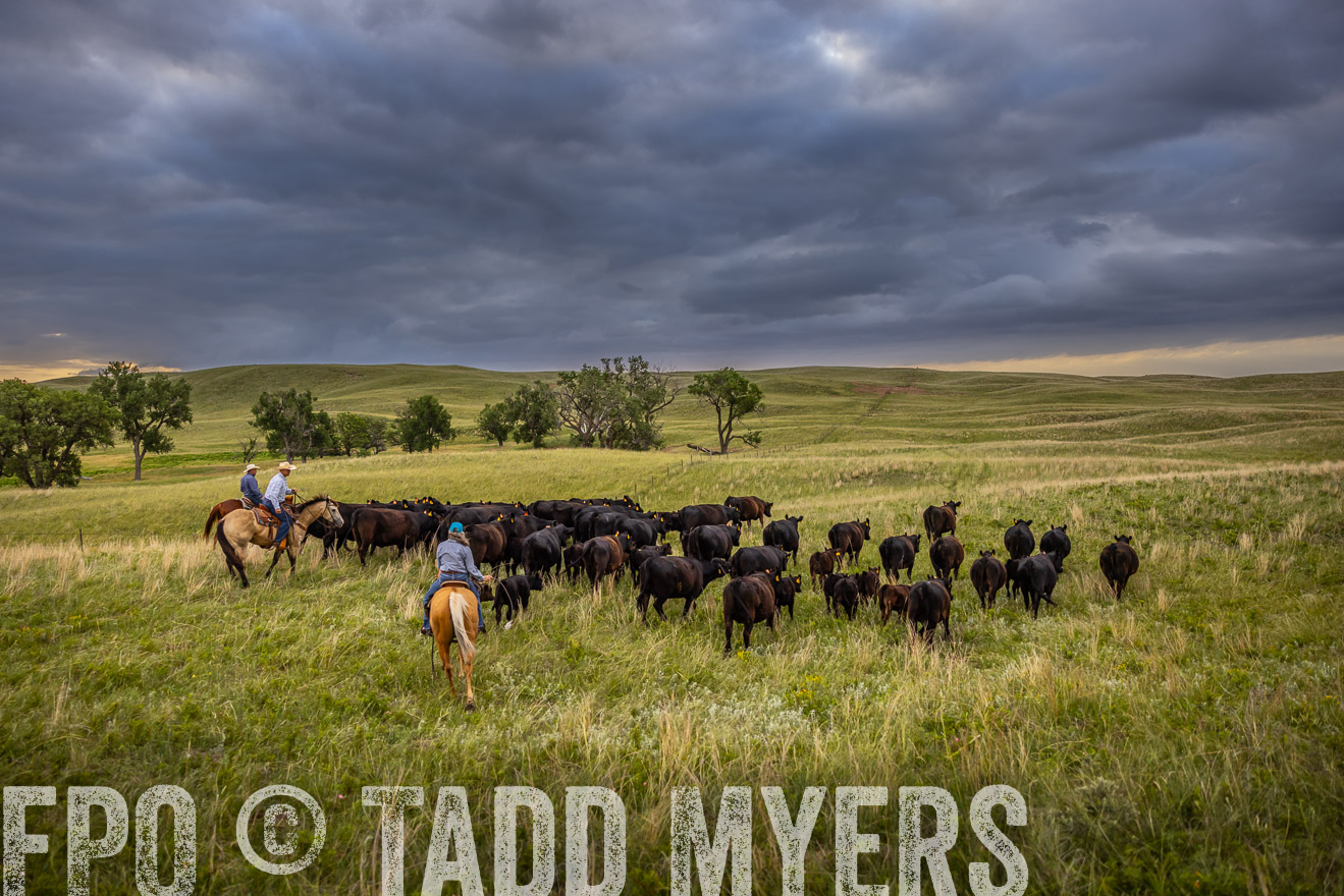 TMyers_PP_FinneyRanch_Nebraska_June2024-519365