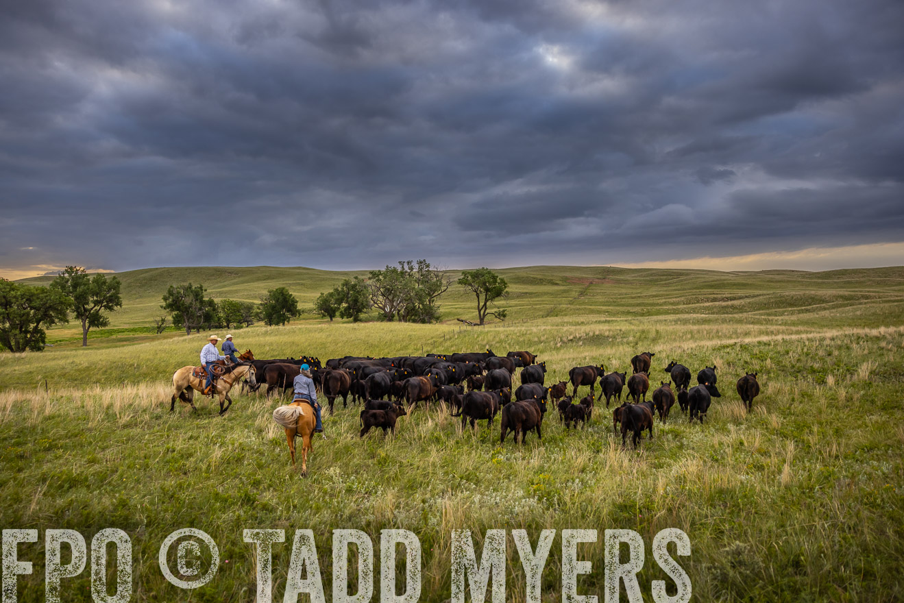 TMyers_PP_FinneyRanch_Nebraska_June2024-519371