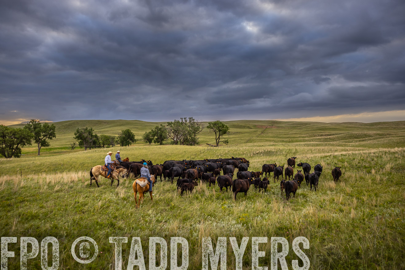 TMyers_PP_FinneyRanch_Nebraska_June2024-519381