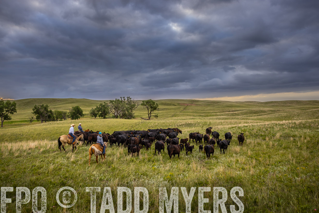 TMyers_PP_FinneyRanch_Nebraska_June2024-519391