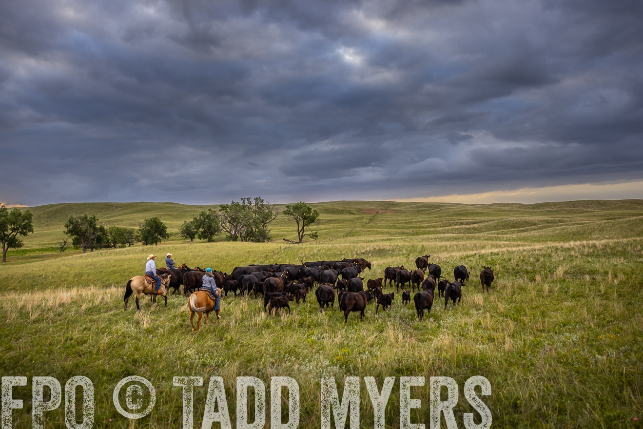 TMyers_PP_FinneyRanch_Nebraska_June2024-519396