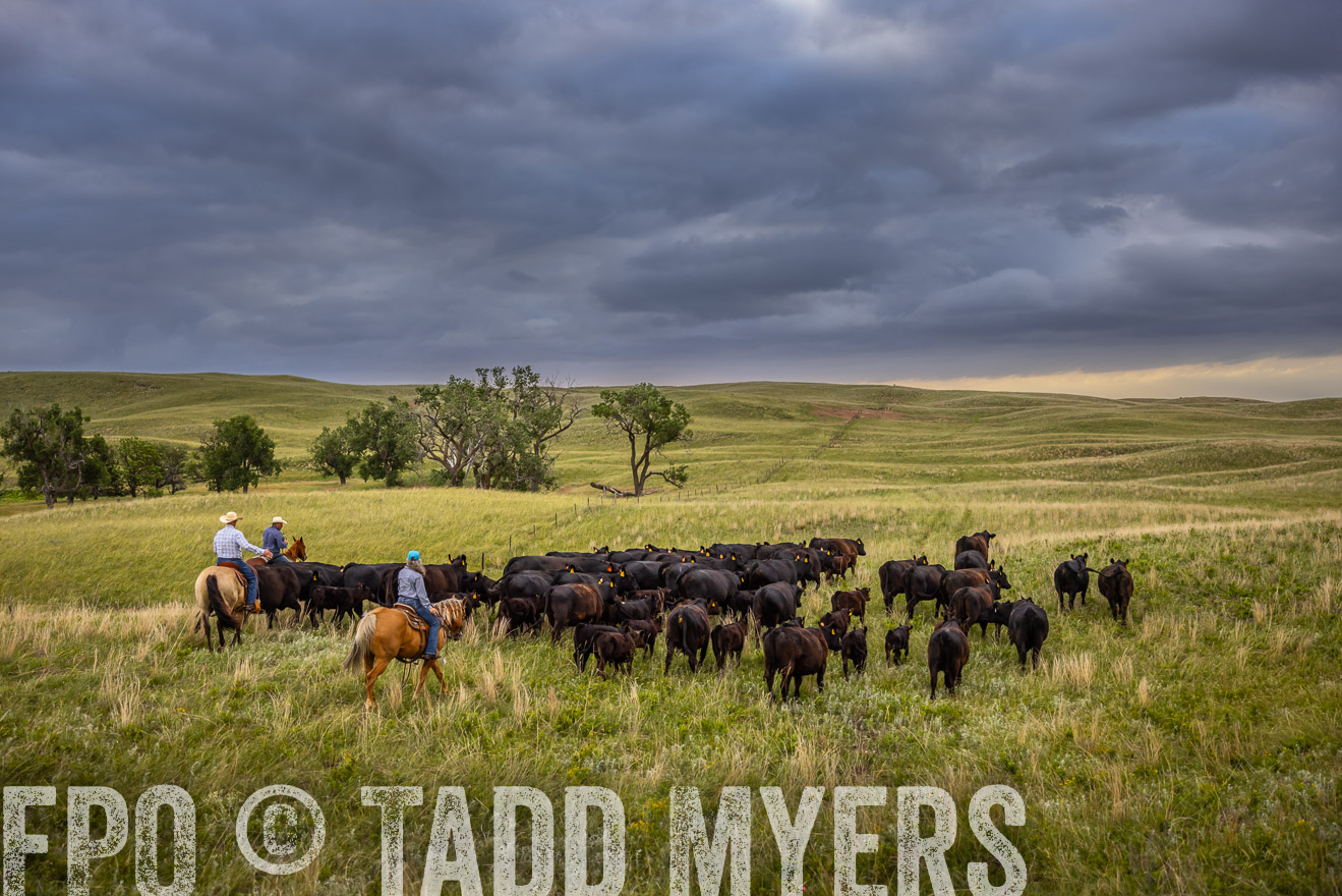 TMyers_PP_FinneyRanch_Nebraska_June2024-519408