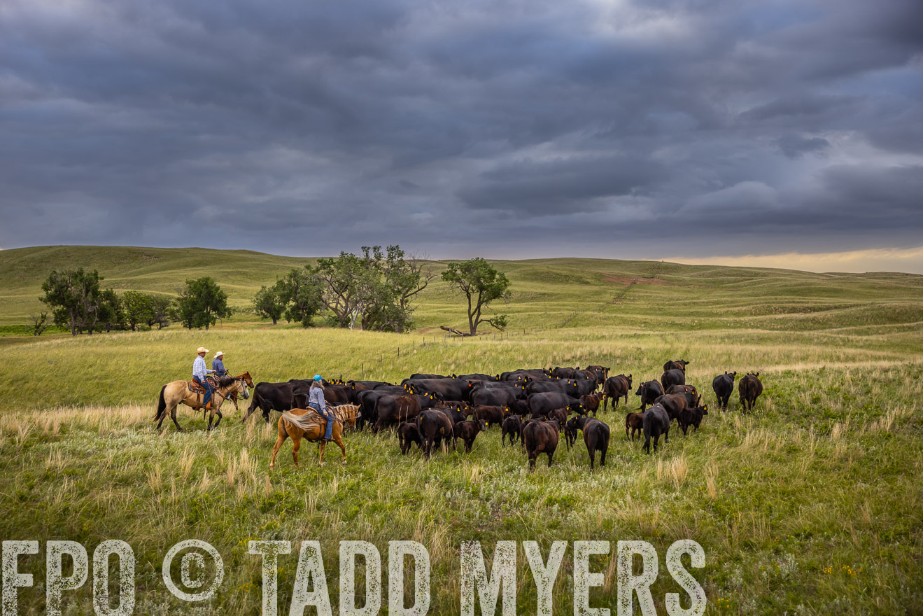 TMyers_PP_FinneyRanch_Nebraska_June2024-519416