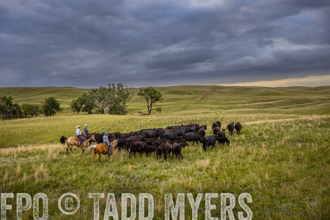TMyers_PP_FinneyRanch_Nebraska_June2024-519417