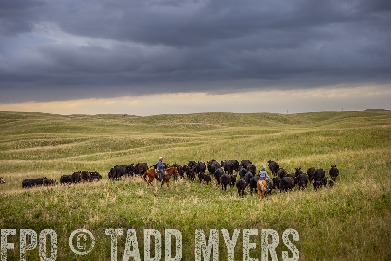 TMyers_PP_FinneyRanch_Nebraska_June2024-519455