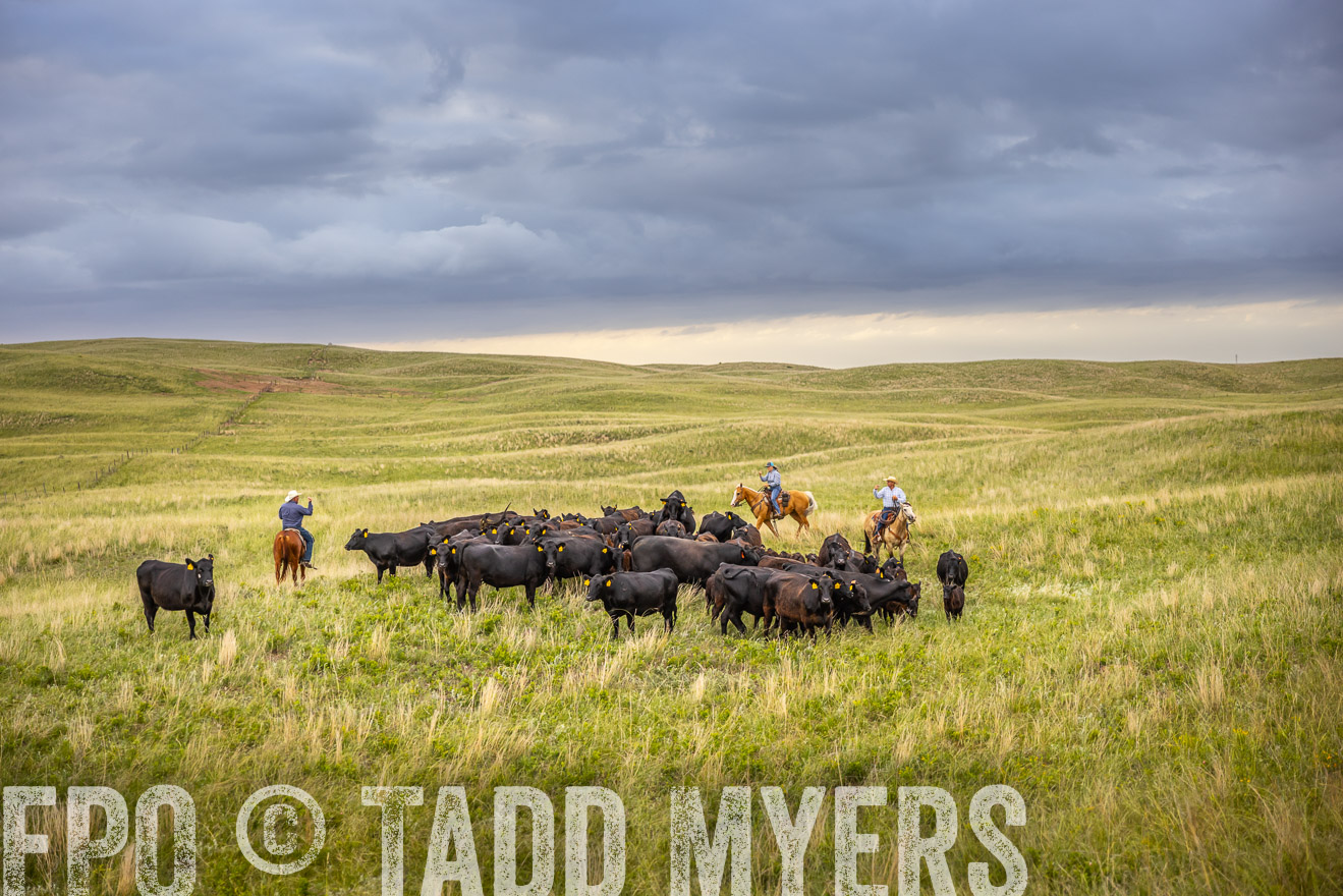 TMyers_PP_FinneyRanch_Nebraska_June2024-519480