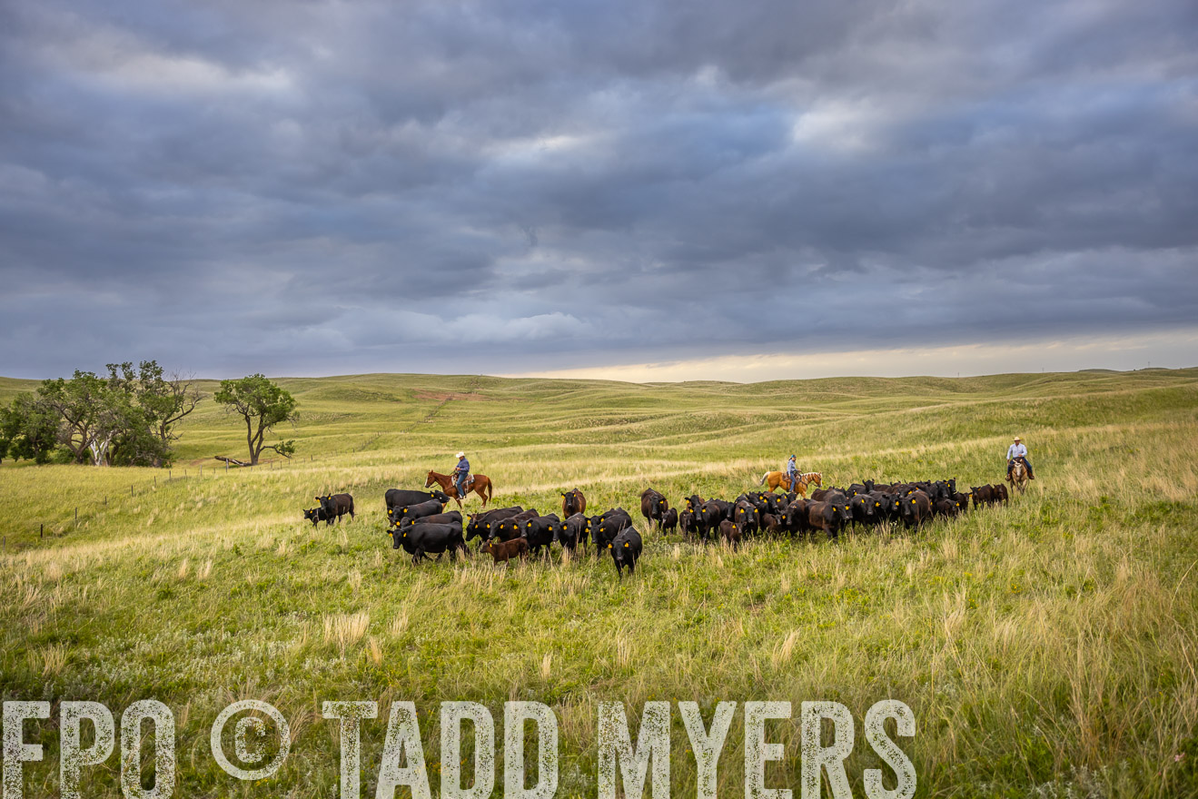 TMyers_PP_FinneyRanch_Nebraska_June2024-519483