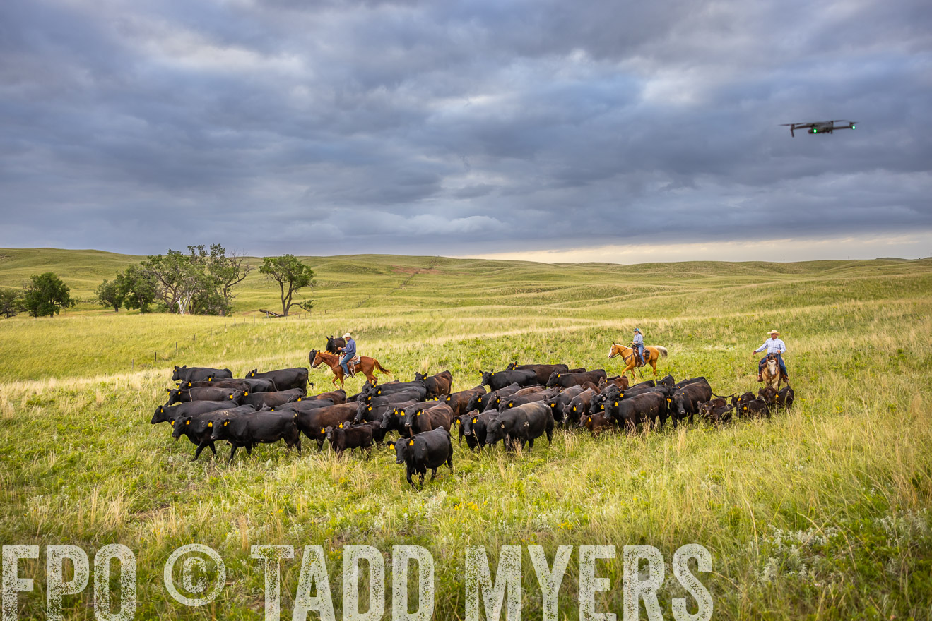 TMyers_PP_FinneyRanch_Nebraska_June2024-519498