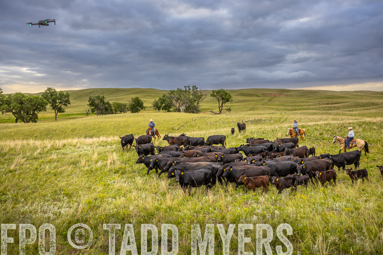 TMyers_PP_FinneyRanch_Nebraska_June2024-519509