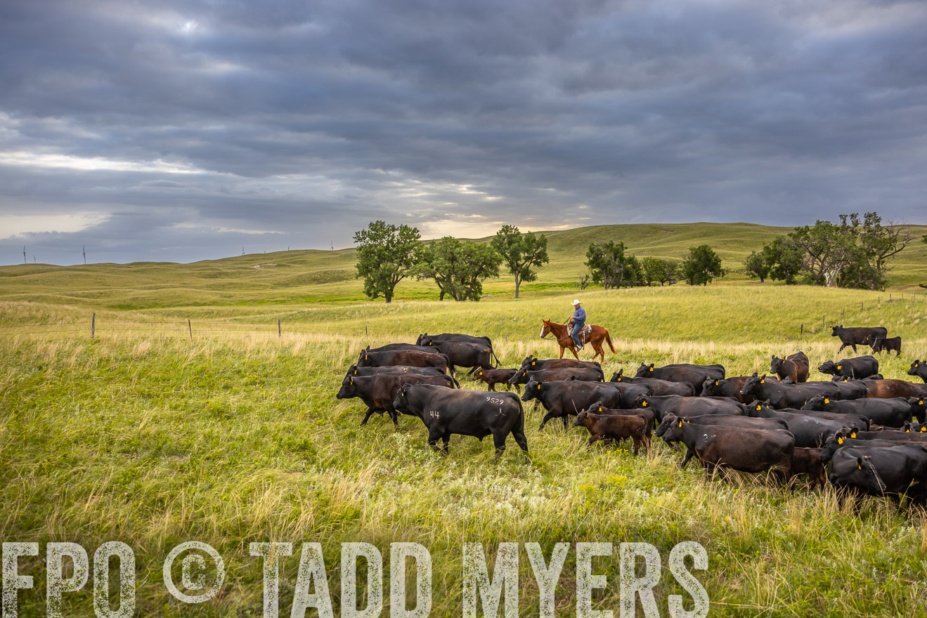 TMyers_PP_FinneyRanch_Nebraska_June2024-519520
