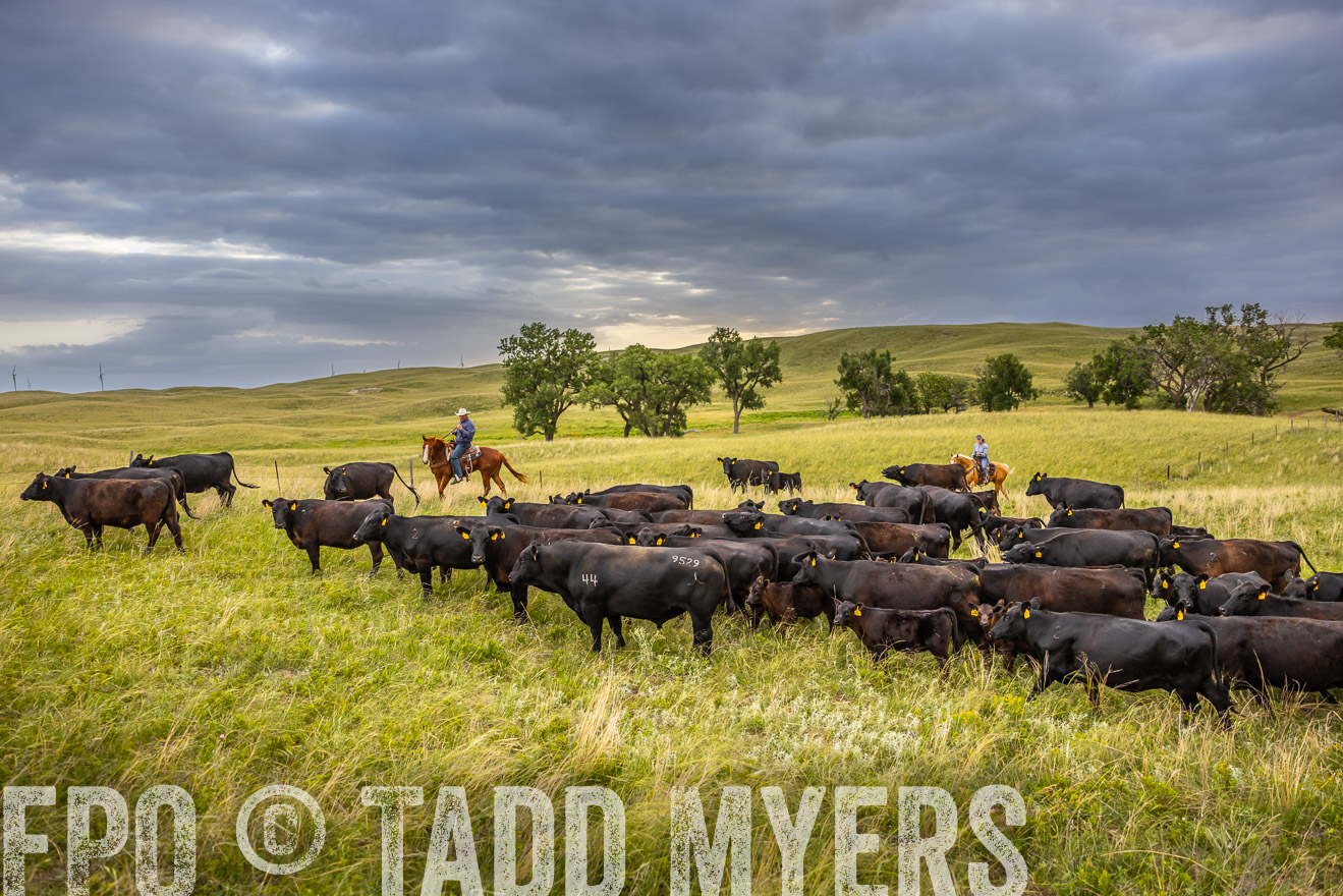 TMyers_PP_FinneyRanch_Nebraska_June2024-519530