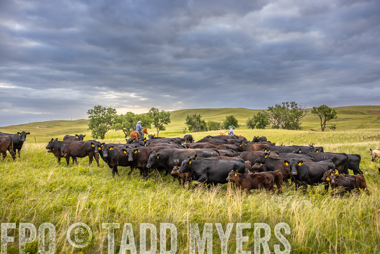 TMyers_PP_FinneyRanch_Nebraska_June2024-519533