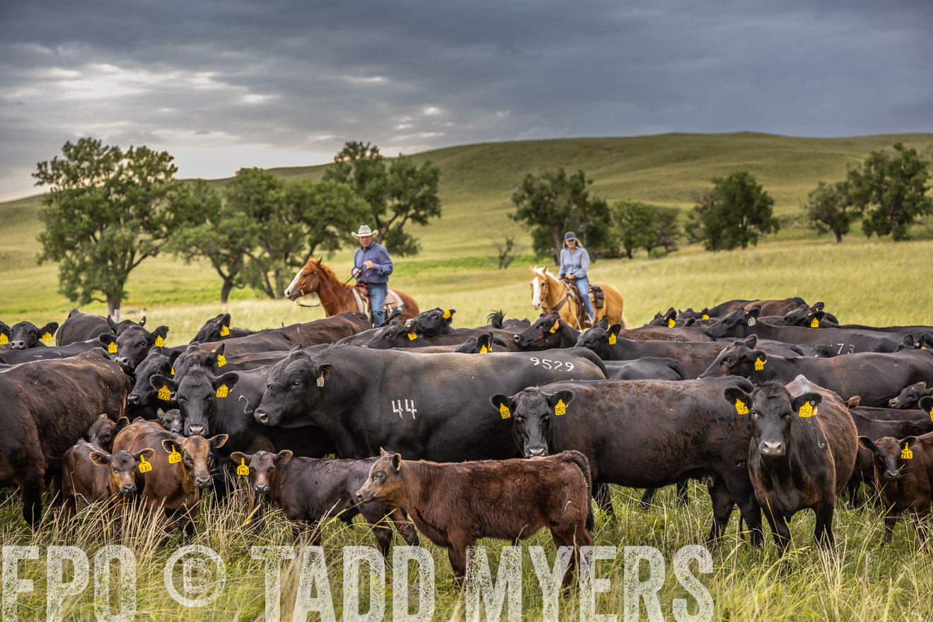 TMyers_PP_FinneyRanch_Nebraska_June2024-519539