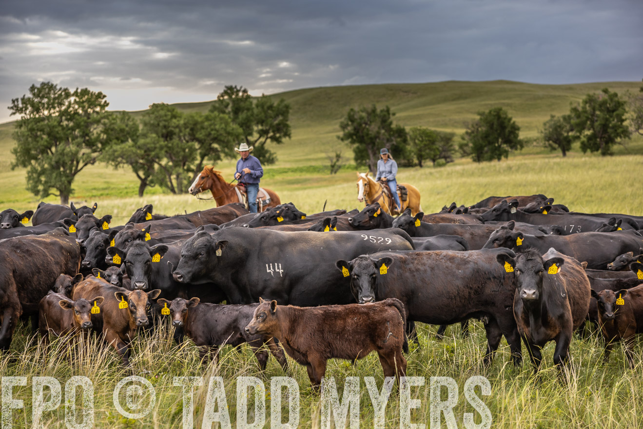 TMyers_PP_FinneyRanch_Nebraska_June2024-519540
