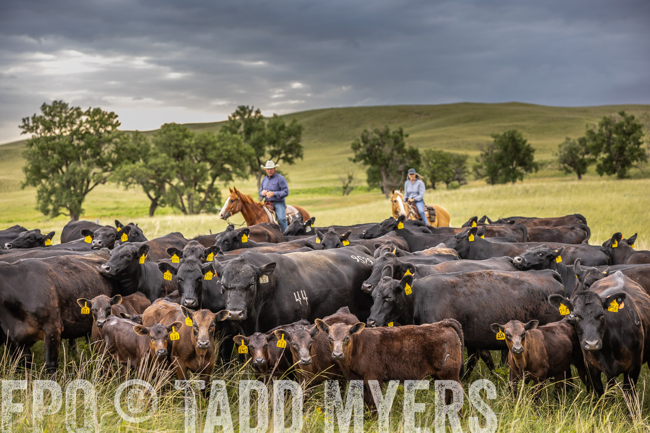 TMyers_PP_FinneyRanch_Nebraska_June2024-519544