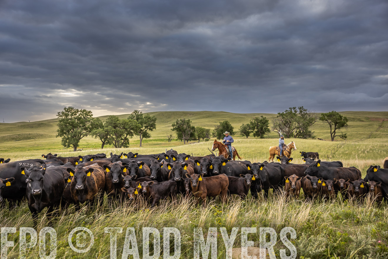 TMyers_PP_FinneyRanch_Nebraska_June2024-519550
