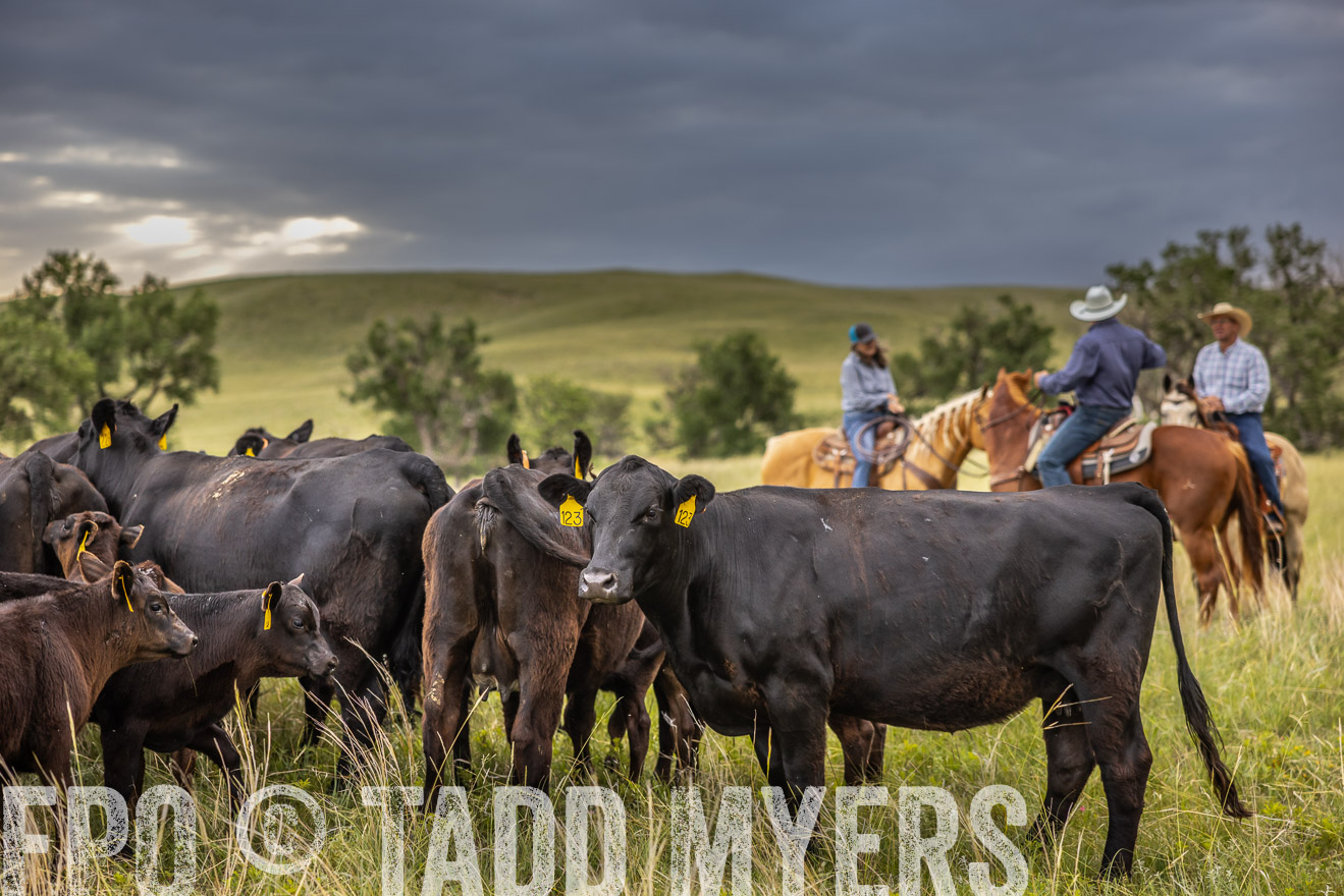 TMyers_PP_FinneyRanch_Nebraska_June2024-519554