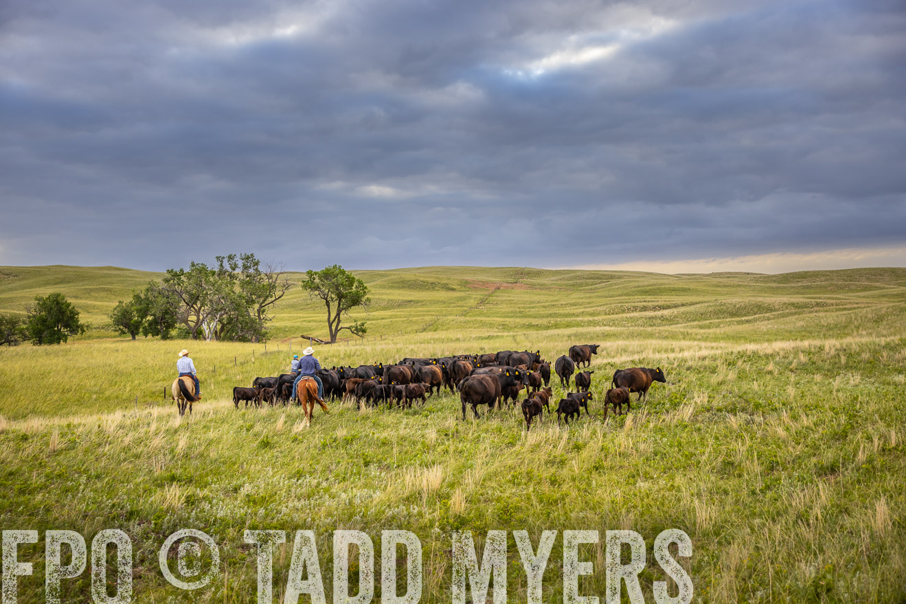TMyers_PP_FinneyRanch_Nebraska_June2024-519612