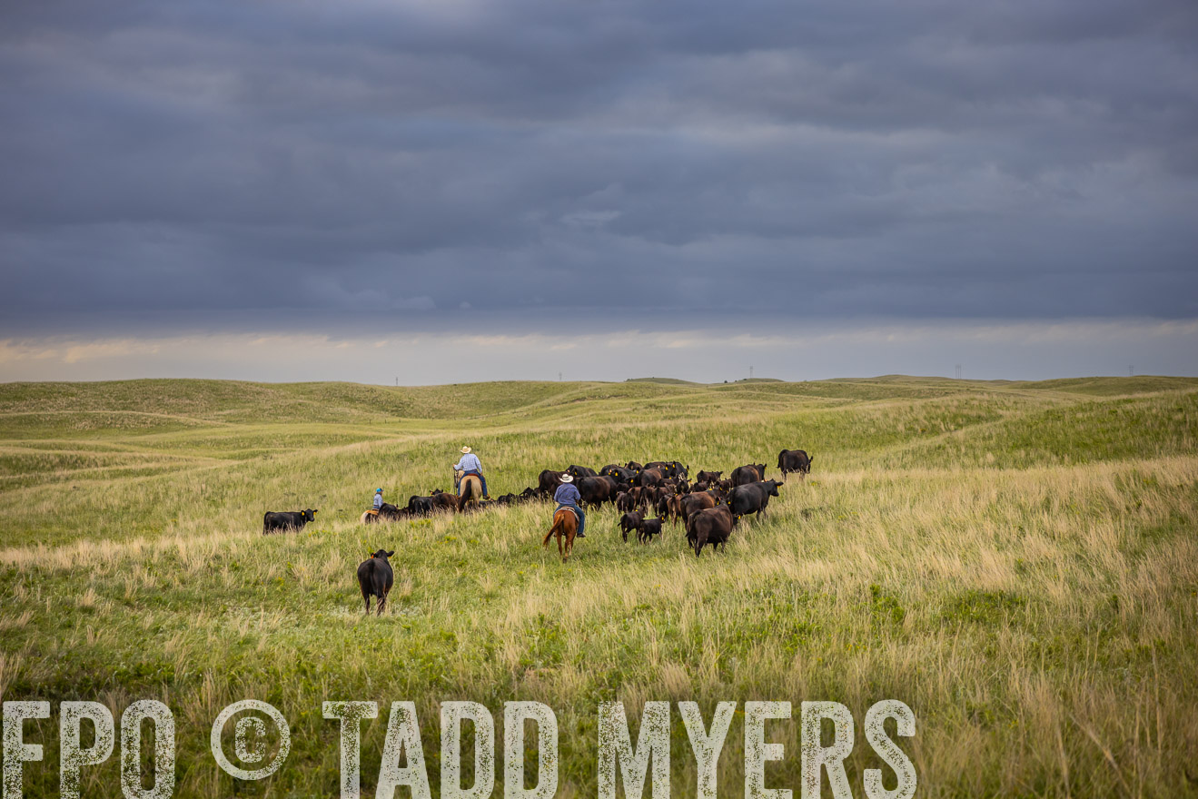 TMyers_PP_FinneyRanch_Nebraska_June2024-519619