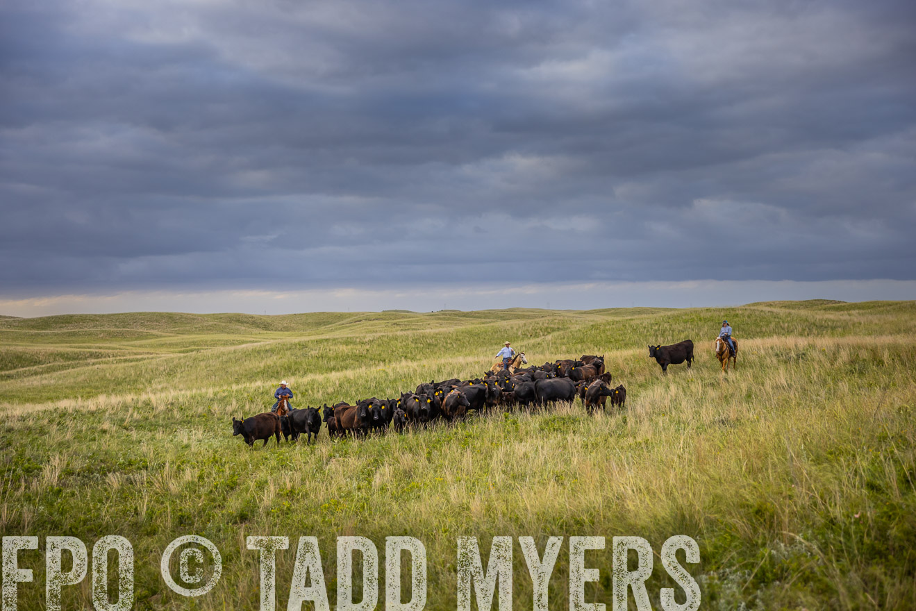 TMyers_PP_FinneyRanch_Nebraska_June2024-519641