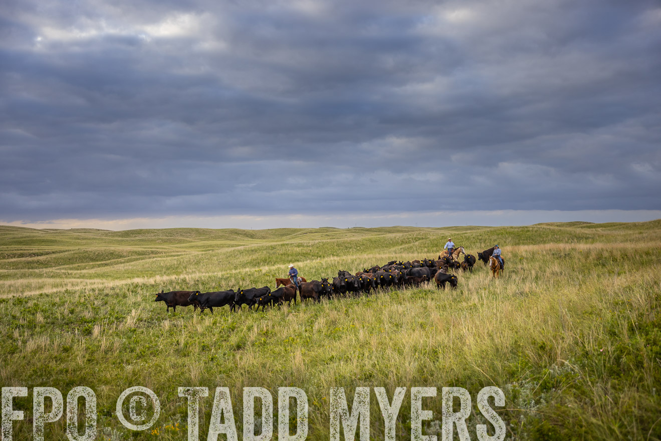 TMyers_PP_FinneyRanch_Nebraska_June2024-519644
