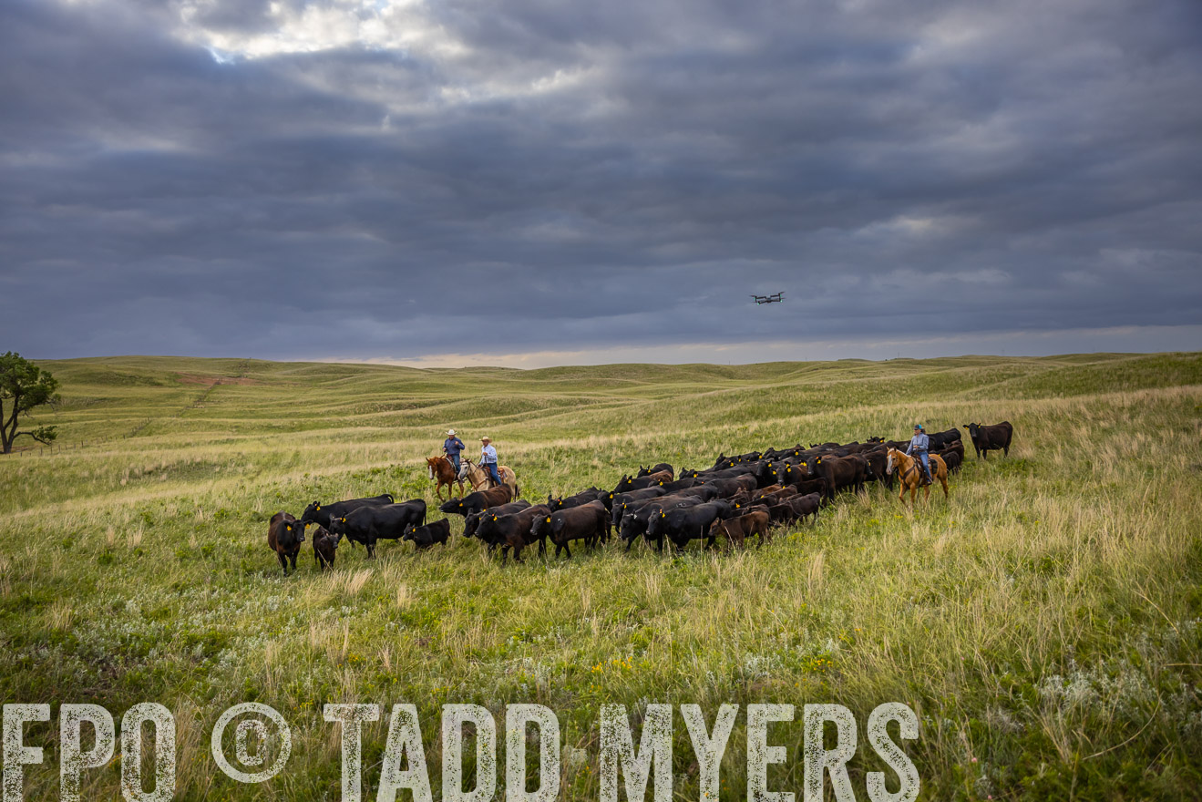 TMyers_PP_FinneyRanch_Nebraska_June2024-519661