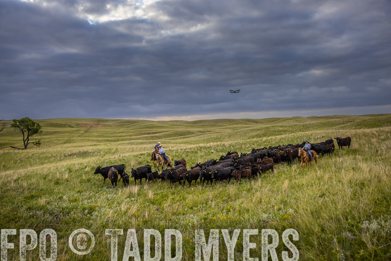 TMyers_PP_FinneyRanch_Nebraska_June2024-519664