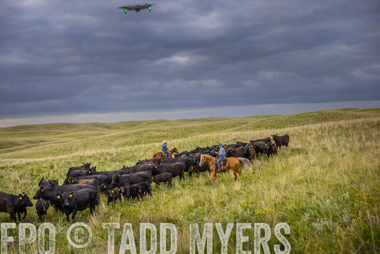 TMyers_PP_FinneyRanch_Nebraska_June2024-519672