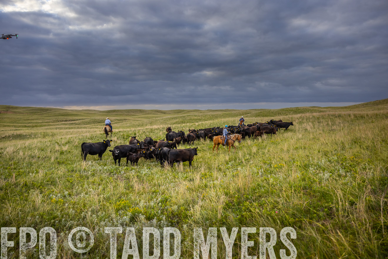 TMyers_PP_FinneyRanch_Nebraska_June2024-519677