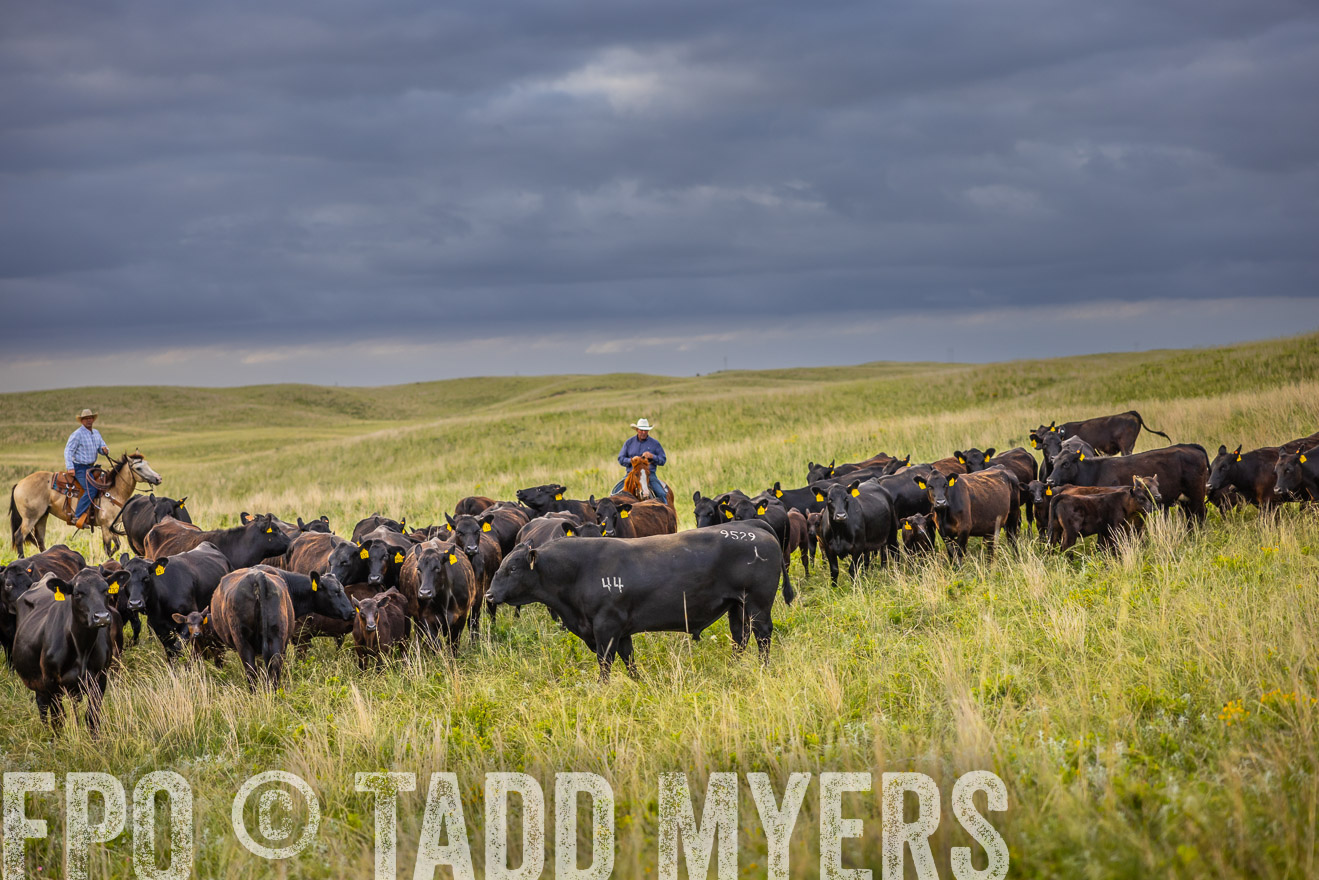 TMyers_PP_FinneyRanch_Nebraska_June2024-519708