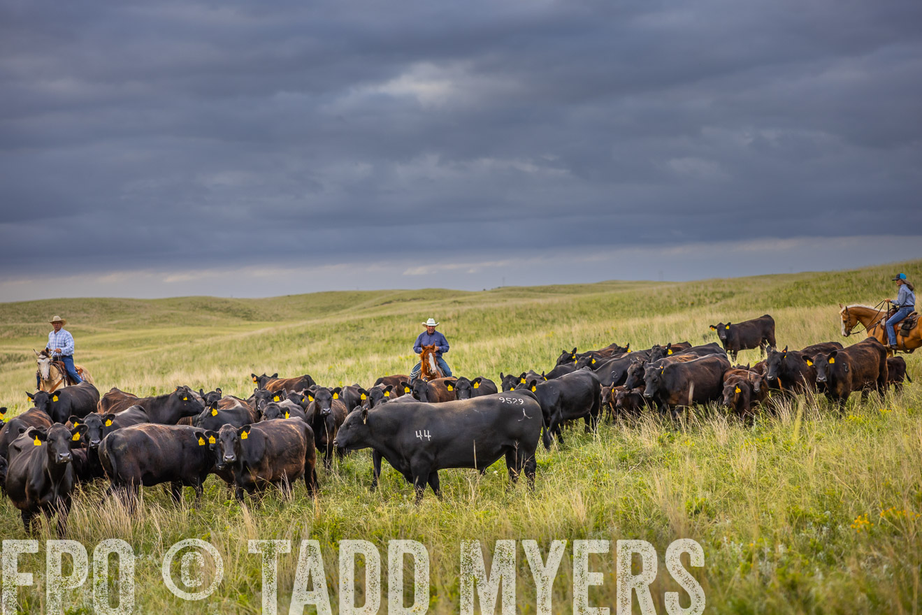 TMyers_PP_FinneyRanch_Nebraska_June2024-519714