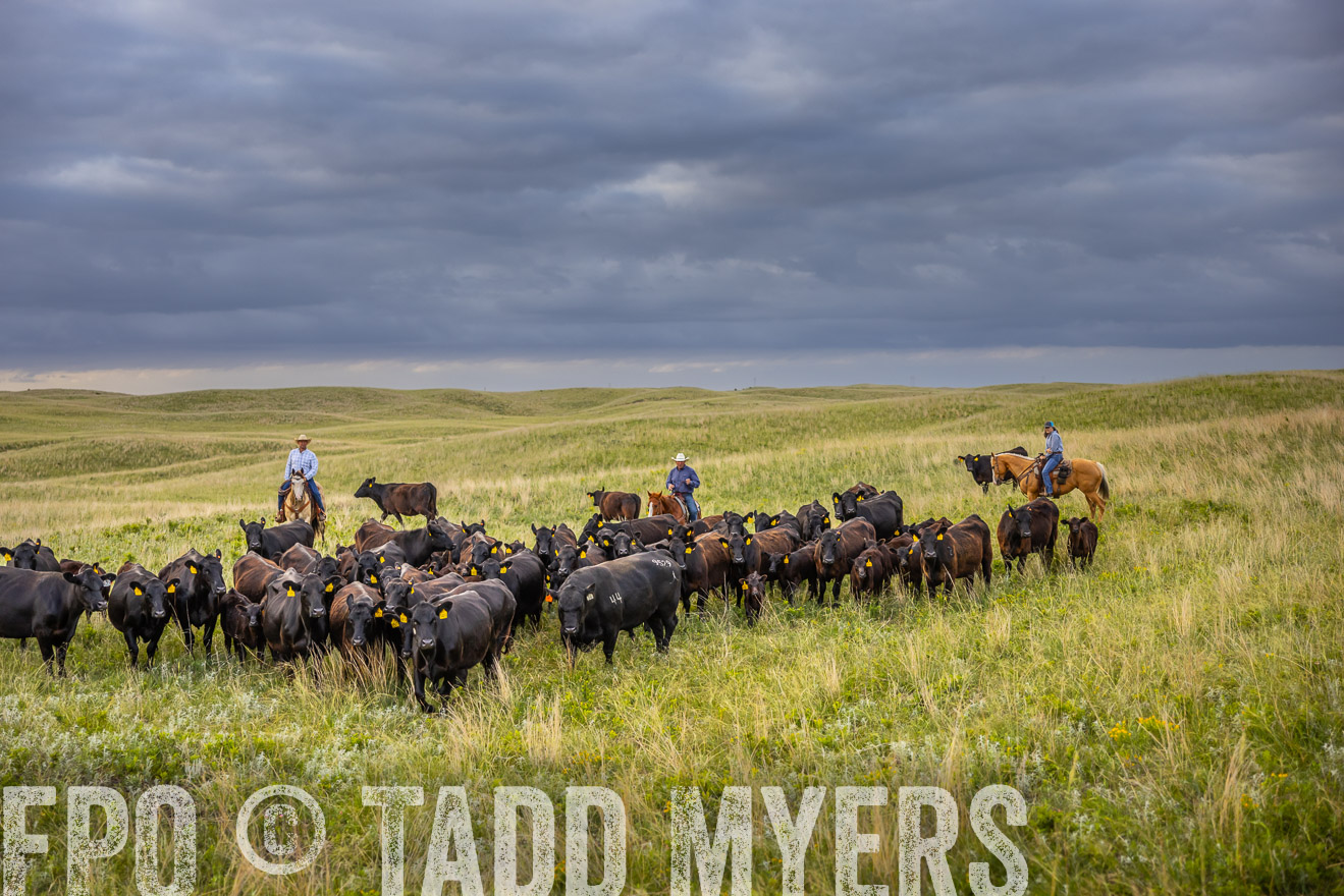 TMyers_PP_FinneyRanch_Nebraska_June2024-519724