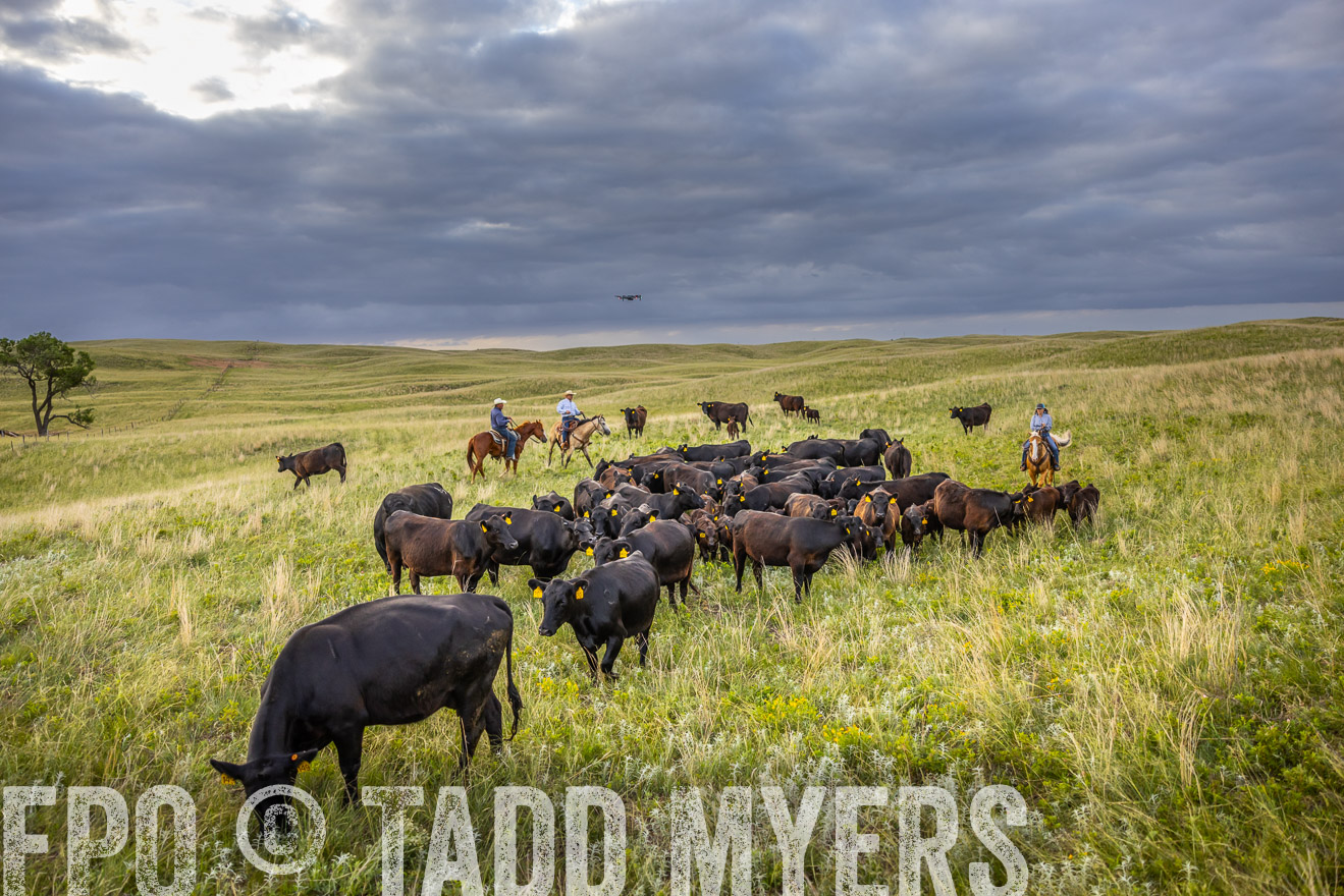 TMyers_PP_FinneyRanch_Nebraska_June2024-519787