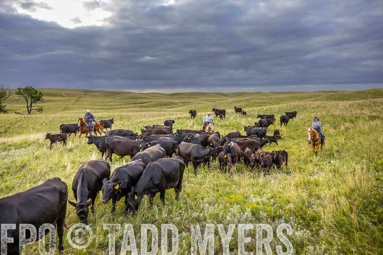 TMyers_PP_FinneyRanch_Nebraska_June2024-519806